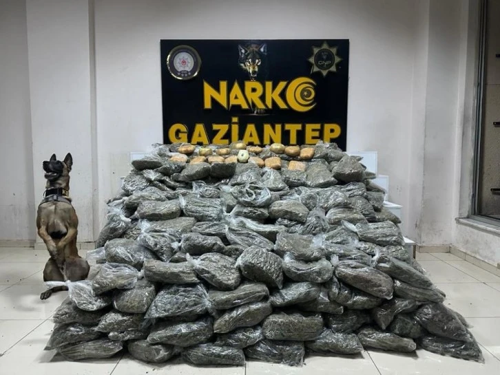 Gaziantep&&#035039;te 170 kilogram skunk ele geçirildi