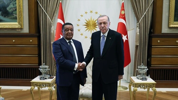 Cumhurbaşkanı Erdoğan, Etiyopya eski Cumhurbaşkanı Wirtu&&#035039;yu kabul etti