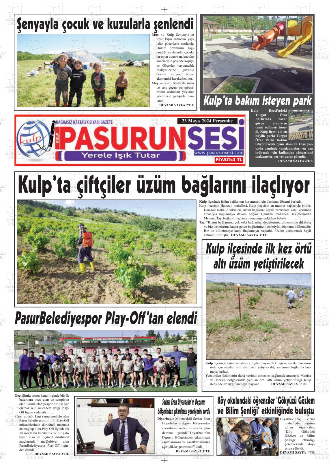PASURUN SESİ Gazetesi