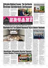Ergani gazetesi 1. sayfa