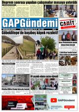 GAP GÜNDEMİ Gazetesi