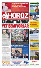 HOROZ Gazetesi
