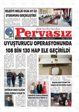 PERVASIZ Gazetesi