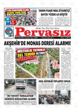 Pervasız gazetesi 1. sayfa