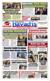 VİZYON HAVADİS Gazetesi
