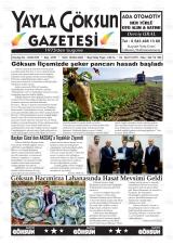 YAYLA GÖKSUN Gazetesi